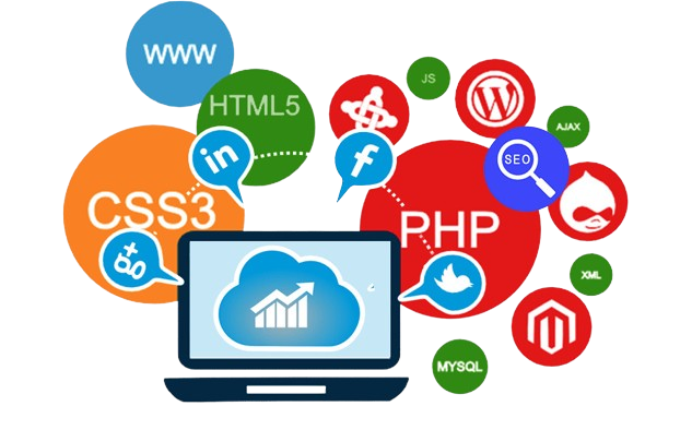 Web Design & Development